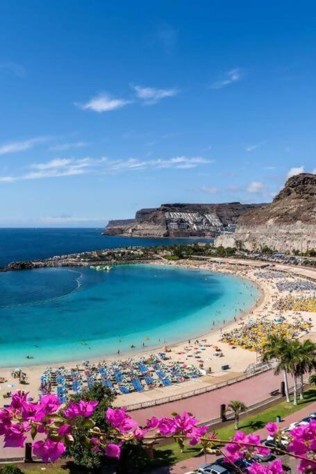 Vibe ,Wifi ,Espacio Trabajo,Playa ,Ocio Las Palmas de Gran Canaria Ngoại thất bức ảnh